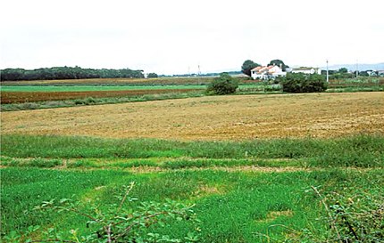 Riudellots de la Selva (La Selva), 21 de setembre de 2002