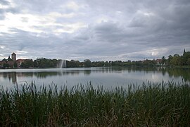 Lago Domowe Małe