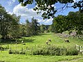 Blick vom Wickesberger Bachtal in das Fahnberger Bachtal