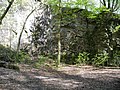 Giuseppe Penone - "Neanderthal Hecke"