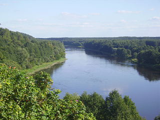 The river Nemunas at Liskiava village