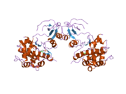 2bva: CRYSTAL STRUCTURE OF THE HUMAN P21-ACTIVATED KINASE 4