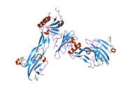 2goo​: Ternarni kompleks BMP-2 vezanog za BMPR-Ia-ECD i ActRII-ECD