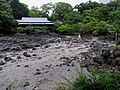 楽寿館と小浜池、湧水の画枯渇している（2008年6月18日撮影）