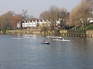 English: Rowing training on the Thames at Bren...