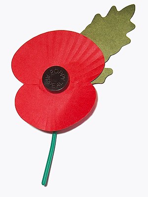 A paper poppy, worn in the United Kingdom from...