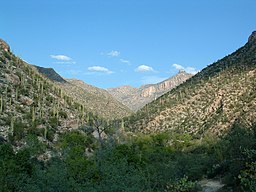 Sabino Canyon, La Paz County