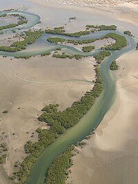 Saloum River in Central Senegal SaloumULM.JPG