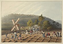 Planting the sugar cane, British West Indies, 1823 Slaves working on a plantation - Ten Views in the Island of Antigua (1823), plate III - BL.jpg