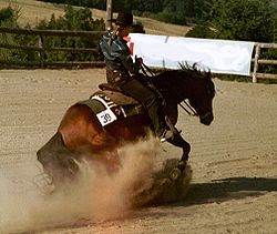 Un momento di una competizione di reining