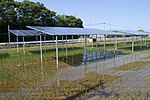 Vignette pour Agrivoltaïque