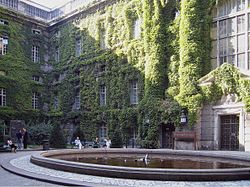 Library courtyard