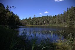 Stora Ottervatten från östra sidan i augusti 2015.