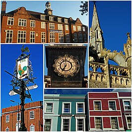 Sutton collage (4).jpg