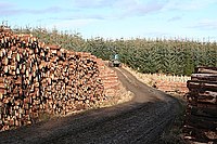 Timber Stacks Timber Stacks - geograph.org.uk - 677743.jpg