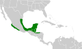 23:18, 9 urtarrila 2021 bertsioaren iruditxoa