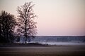 Landschaft bei Vahto