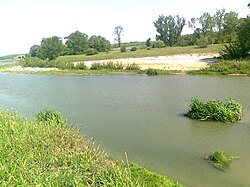 Vedea.River.1.jpg