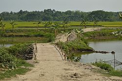 Bamboo bridge across the Ichhamati