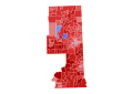 2020 United States House of Representatives election in Washington's 5th congressional district