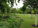 Waterloo Gardens, Roath Mill Gardens and Roath Brook Gardens