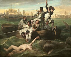 واتسون و کوسه‌ماهی، اثری در سبک رمانتیسم از نقاش مشهور آمریکایی، جان سینگلتون کاپلی است که در سال ۱۷۷۸ میلادی با رنگ روغن خلق شد. هم‌اکنون این اثر، تحت مالکیت نگارخانه ملی هنر آمریکا در شهر واشینگتن دی. سی.، ایالات متحده آمریکا قرار دارد.