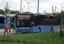 113A busz (MRP-081)