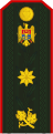 General de Brigadă (Бригадный генерал)