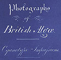 Detalle de la portada de Photographs of British Algae: Cyanotype Impressions