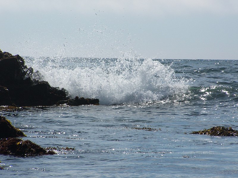 File:Asilomar State Beach (Breaking wave) 01.jpg