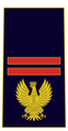 Distintivo di qualifica per controspallina di assistente della Polizia di Stato