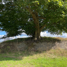 Colour photograph of the Asthall barrow