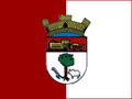 Bandeira de Presidente Venceslau