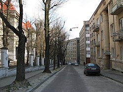середня частина вулиці (спуск до вул. Зеленої)