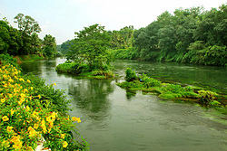 Muvattupuzha river