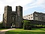 Berry Pomeroy Castle - geograph.org.uk - 913529.jpg