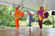 9 Bhangra dancers at the International Children's Festival