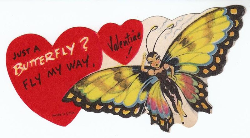 800px-Butterfly_Valentine.jpg