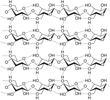 A strand of cellulose (conformation Ia), showing the hydrogen bonds (dashed) within and between cellulose molecules. Cellulose strand.svg