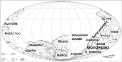 Ediacaran-Cambrian boundary plate tectonics.png