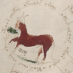 Detalle del emblema de Tauro comiendo de un pesebre (f72r1).