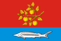 Flag of Saratovsky District