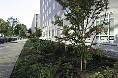 Flickr - USCapitol - Ford House Office Building.jpg