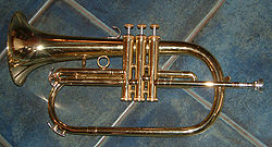 A standard 3-valved B♭  flugelhorn.