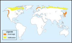 Gavia adamsii-map-location.svg