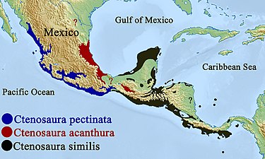 Geographic distribution of three species of Ctenosaura: (C. acanthura, C. pectinata, C. similis)