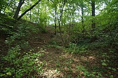 Große Doline „Schauergrube“ W von Vorderkeilberg