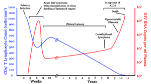 A graph with two lines. One in blue moves from high on the right to low on the left with a brief rise in the middle. The second line in red moves from zero to very high, then drops to low and gradually rises to high again