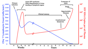 نمودار عمومی رابطهٔ میان نسخه‌های HIV(تکثیرشده از ویروس‌ها) و شمار ‎CD۴+‏ بر میانگین زمان آلودگی به HIV بدون مراقبت؛ هربیماری شخص می‌تواند دوره را به قدر قابل توجهی تغییر دهد.  CD۴+ T Lymphocyte count (cells/mm³)  HIV RNA copies per mL of plasma