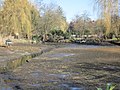 Der Sieversbek durchfließt den abgelassenen Teich an der Straße Sieversbek